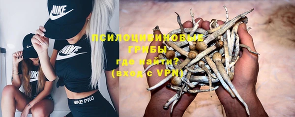 ГАЛЛЮЦИНОГЕННЫЕ ГРИБЫ Абинск
