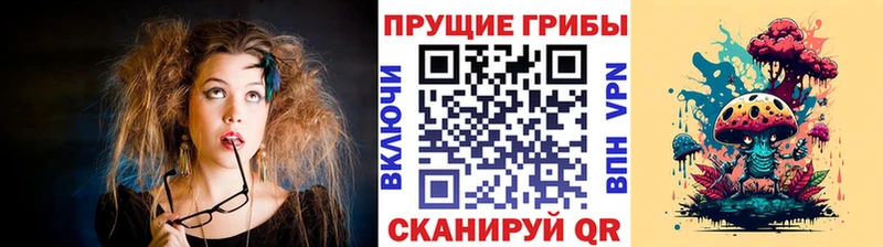 Галлюциногенные грибы Psilocybe  Алатырь 